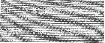 http://192.168.0.56:8100/2783204.jpg